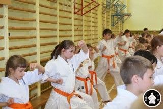 занятия каратэ для детей (60)